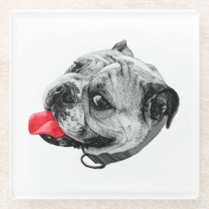 Silly Red Sip Glass Coaster