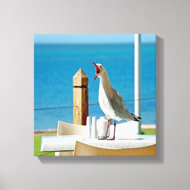 Silly Seagull Canvas Print (Front)