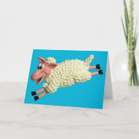 Silly Sheep