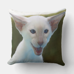 Silly Siamese Cushion