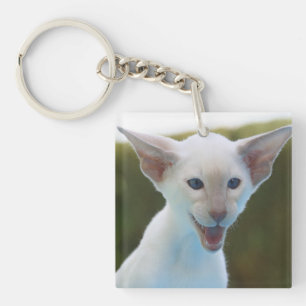Silly Siamese Key Ring