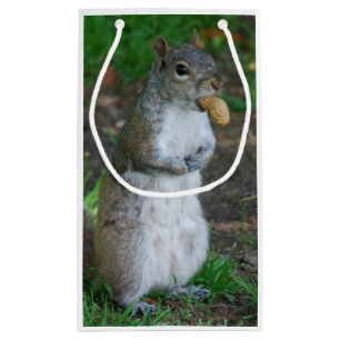 Silly Squirrel Small Gift Bag