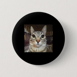 Silly Staring Cat Meme 6 Cm Round Badge