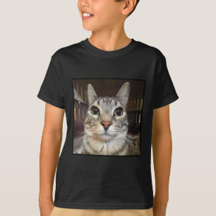 Silly Staring Cat Meme  T-Shirt
