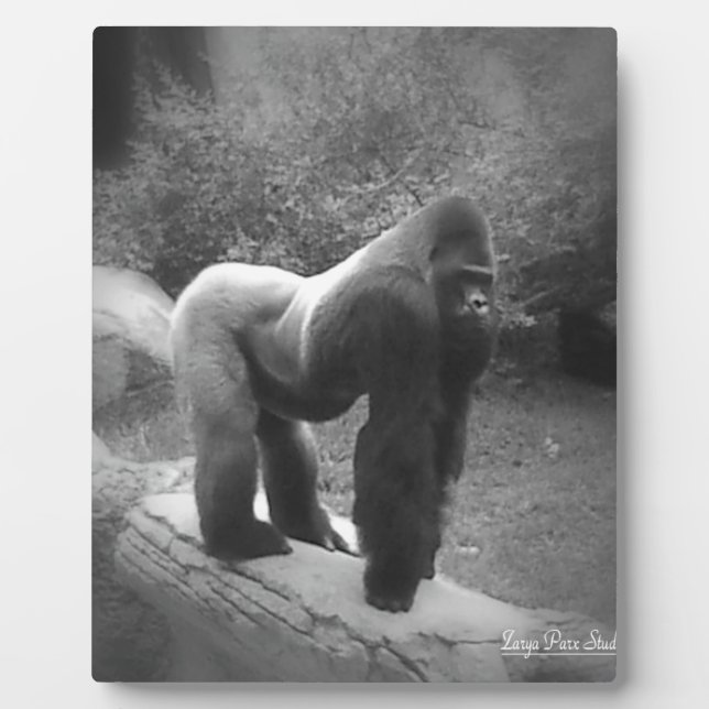 Silveback Gorilla Plaque (Front)