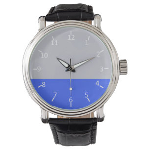 Silver and Blue Watch