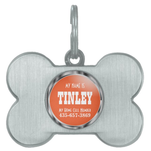 Silver and Orange | DIY Name Pet Tag (Front)