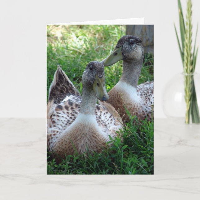 Silver Appleyard Drakes Card (Front)