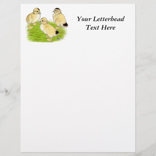 Silver Appleyard Ducklings (Front)