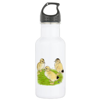 Silver Appleyard Ducklings 532 Ml Water Bottle