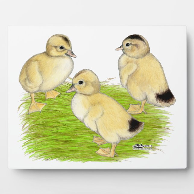 Silver Appleyard Ducklings Plaque (Front)
