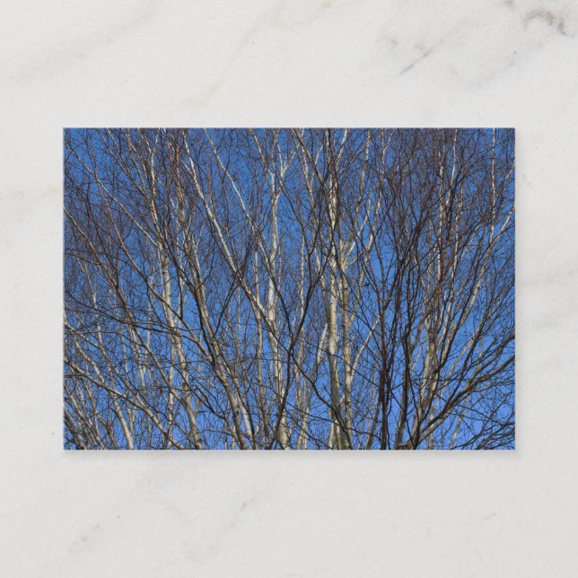 Silver Birch Branches 02 Business Card (Front)