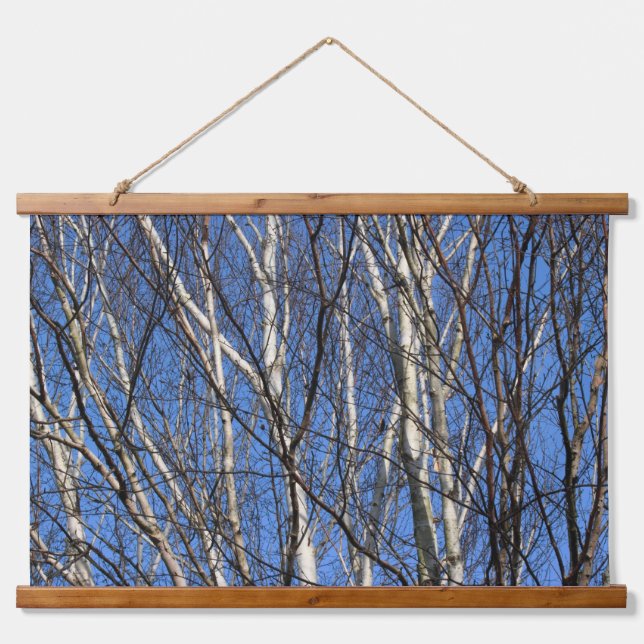 Silver Birch Branches Hanging Tapestry (Front)