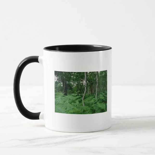 Silver birch trees and ferns, Sherwood Forest Mug (Left)