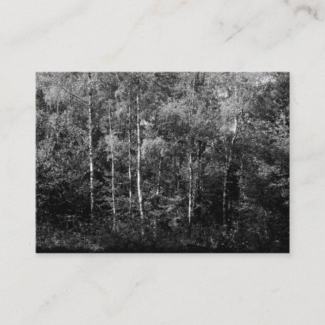 Silver Birch Trees B&W, Mini Photo Business Card (Front)