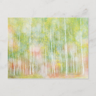 Silver Birch Trees Postcard