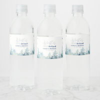 Silver & Blue Winter Wonderland 1st Birthday Party