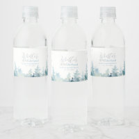 Silver & Blue Winter Wonderland 1st Birthday Party