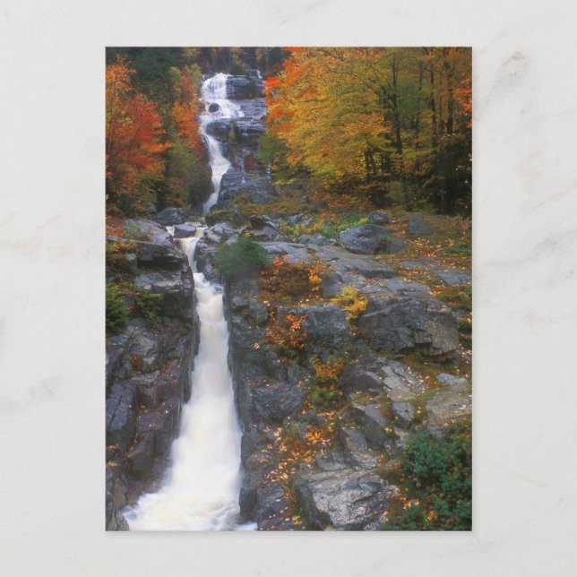 Silver Cascade Autumn Postcard (Front)