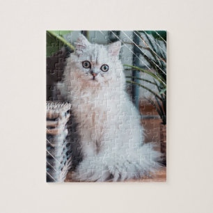 Silver Chinchilla Persian Furry Cat Brown Basket Jigsaw Puzzle