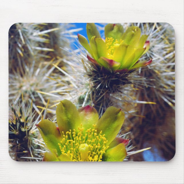 Silver Cholla Cactus Wildflowers Mouse Pad (Front)