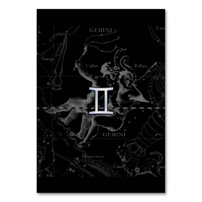 Silver Chrome like Gemini Zodiac Sign on Hevelius Table Number (Front)