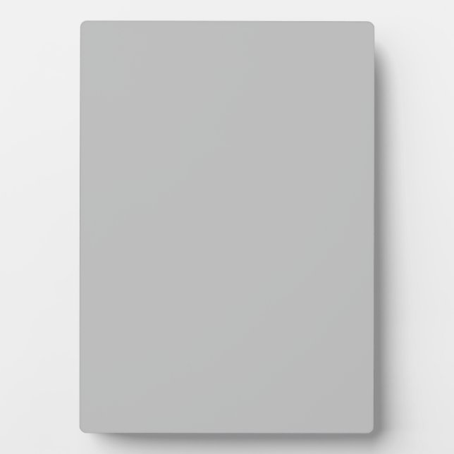 Silver Contemporary Coloured Plaque (Front)