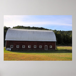 Silver Dome - Print