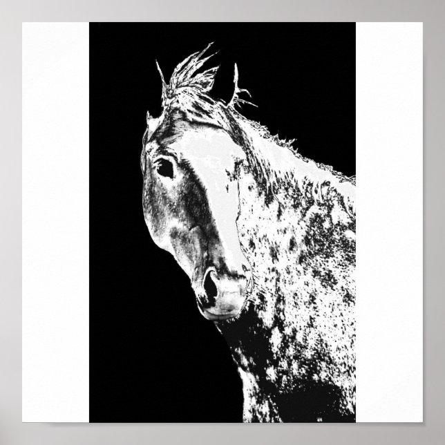 silver dream poster (Front)