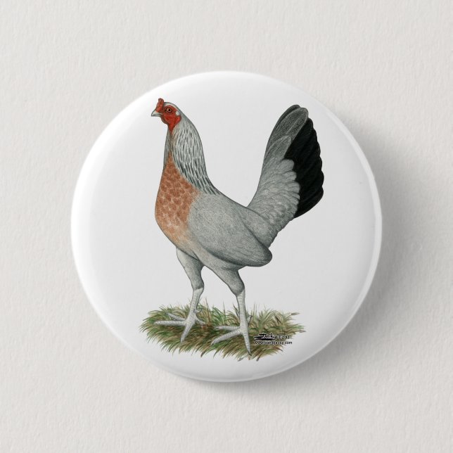 Silver Duckwing Game Hen 6 Cm Round Badge (Front)