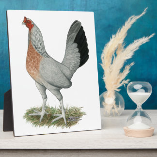 Silver Duckwing Game Hen Plaque