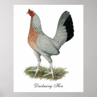 Silver Duckwing Game Hen