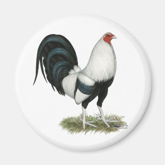 Silver Duckwing Gamecock Magnet