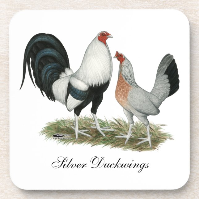 Silver Duckwing Gamefowl Coaster (Front)