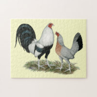 Silver Duckwing Gamefowl