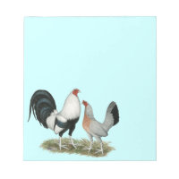 Silver Duckwing Gamefowl