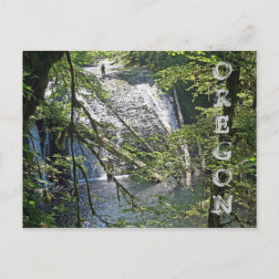 Silver Falls 4 Postcard