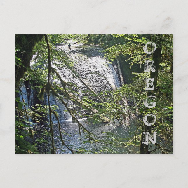 Silver Falls 4 Postcard (Front)