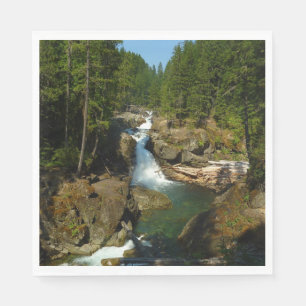Silver Falls at Mount Rainier National Park Napkin