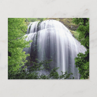 Silver Falls, Oregon Postcard