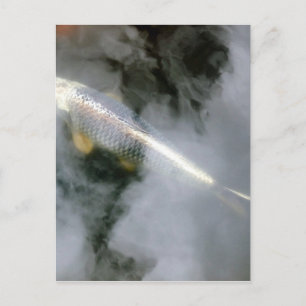 Silver Fish in Water and Clouds Postcard