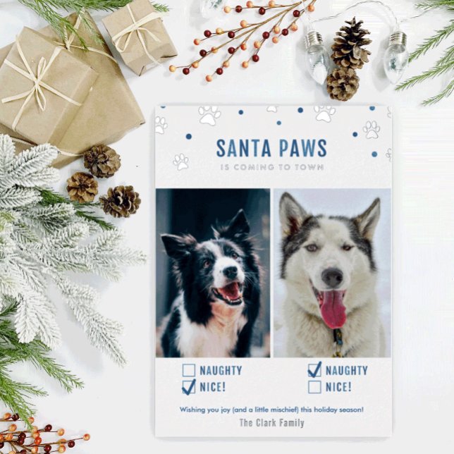 Silver Foil & Blue Santa Paws Two Dog Photo Card (Creator Uploaded)
