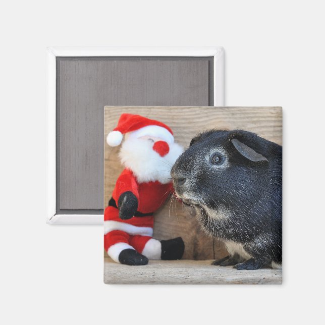 Silver Fox Guinea Pig and Santa Claus Magnet (Front/Back)