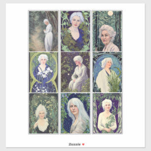 Silver gray hair women art portraits collage sheet
