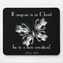 Silver grey butterfly