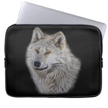 Silver Grey Wolf Wildlife Portrait