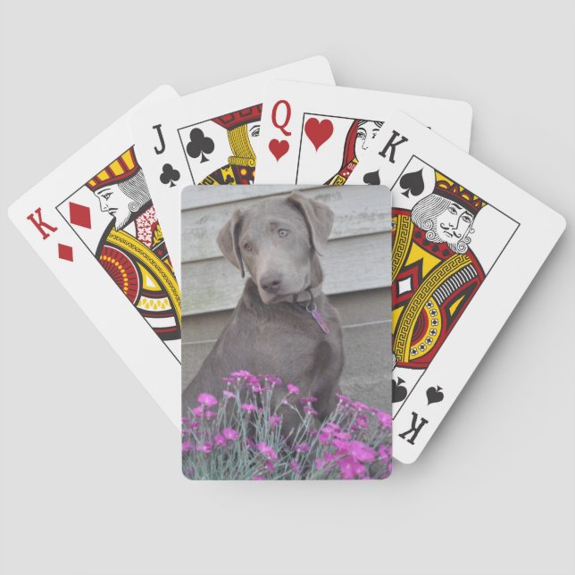 Silver Labradors Playing Cards (Back)