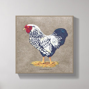 Silver Laced Wyandotte Rooster Canvas Print