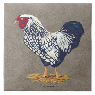 Silver Laced Wyandotte Rooster Tile