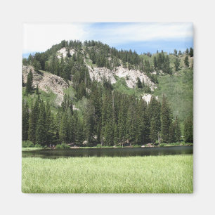 Silver Lake Magnet